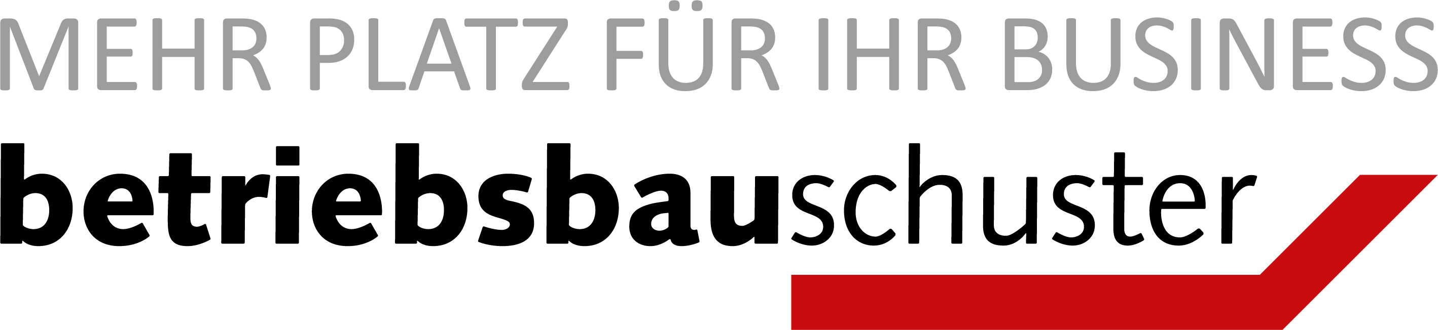Das Logo der Firma Betriebsbauschuster