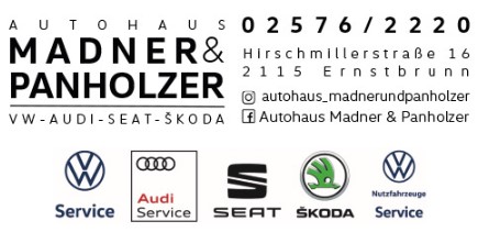 Das Logo der Firma Madner und Panholzer